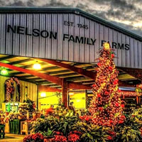 Nelson Family Farms